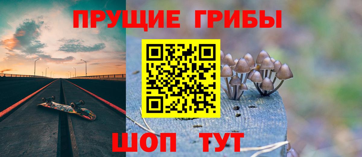 Кузнецк  Галлюциногенные грибы Magic Shrooms  Вход с VPN 